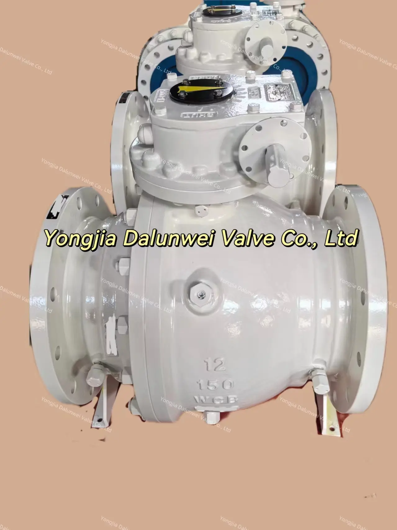 Trunnion mounted ball valve with smooth white finish